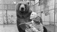 L'histoire extraordinaire d'Hercule, l'ours qu'un couple a adopté et élevé comme membre de leur famille.