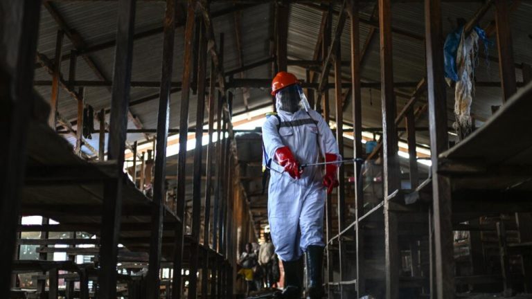Ebola à RDC: à Bunia, les mesures pour lutter contre l'épidémie pèsent sur les commerçants