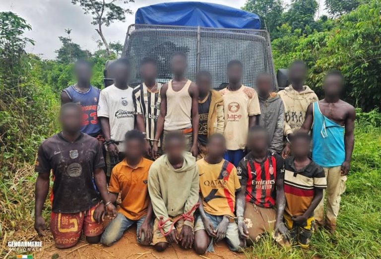 La-gendarmerie-interpelle-20-individus-pour-orpaillage-illegal-a-Issia-le-4-juin-2026-768x522